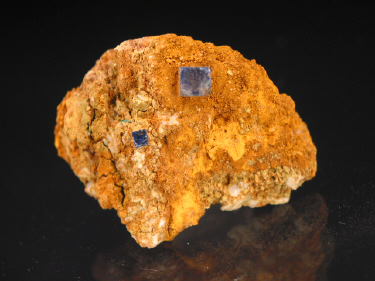 IMG_9277.JPG (99503 bytes)