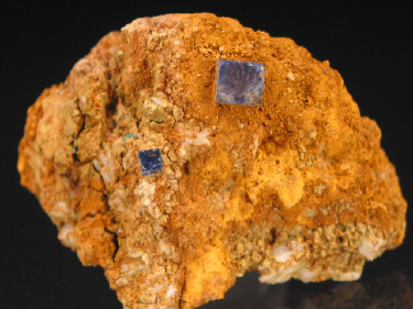 IMG_9279.JPG (123685 bytes)