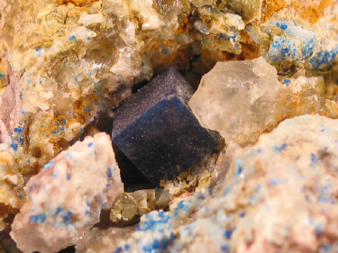 IMG_9281.JPG (133477 bytes)