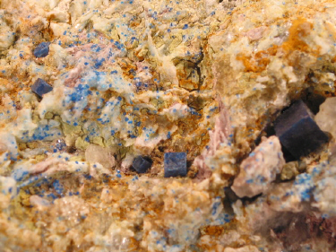 IMG_9282.JPG (153219 bytes)