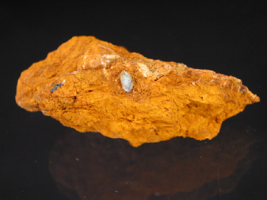 IMG_9289.JPG (78925 bytes)