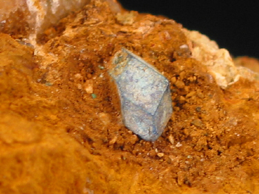 IMG_9290.JPG (123167 bytes)