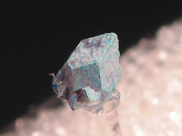 IMG_9293.JPG (61216 bytes)