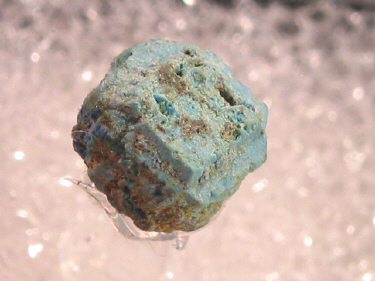 IMG_9298.JPG (89554 bytes)