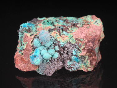 IMG_9310.JPG (100049 bytes)