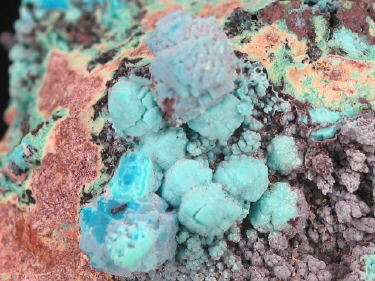 IMG_9312.JPG (158124 bytes)