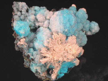 IMG_9314.JPG (92006 bytes)