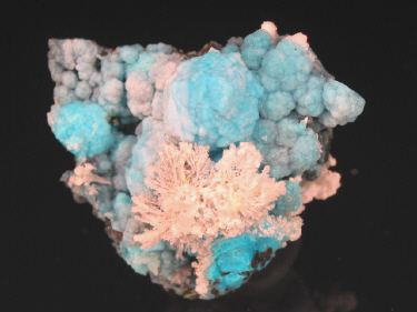 IMG_9315.JPG (81952 bytes)