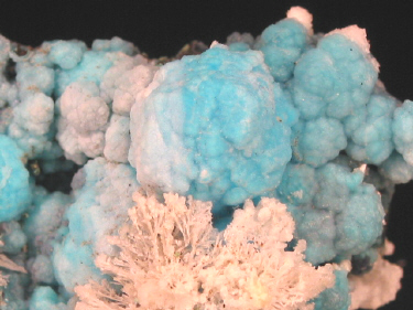 IMG_9316.JPG (99383 bytes)