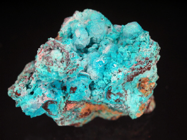 IMG_9318.JPG (108895 bytes)