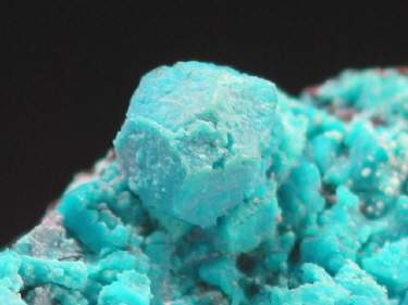 IMG_9321.JPG (91547 bytes)