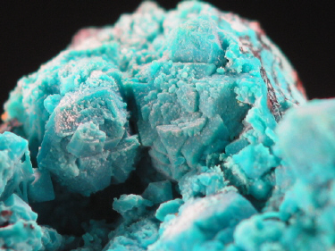 IMG_9323.JPG (118929 bytes)