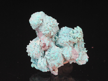 IMG_9324.JPG (78245 bytes)