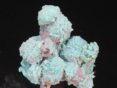 IMG_9325.JPG (96531 bytes)