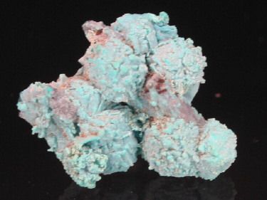 IMG_9326.JPG (88582 bytes)