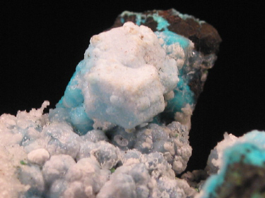 IMG_9329.JPG (82200 bytes)