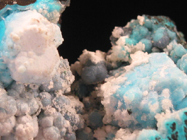 IMG_9330.JPG (103756 bytes)