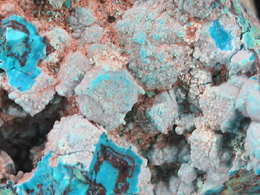 IMG_9332.JPG (148562 bytes)