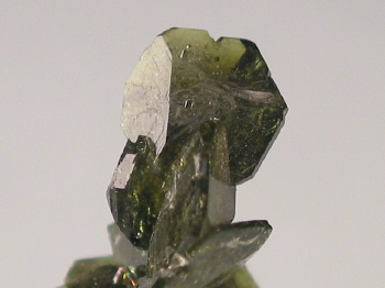 ii.JPG (77754 bytes)