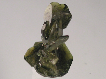 iii.JPG (67577 bytes)
