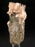 imx30.JPG (110456 bytes)