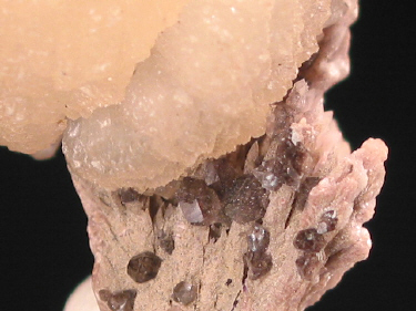 IMG_0656.JPG (99941 bytes)