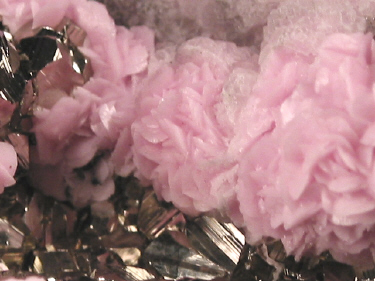 IMG_0886.JPG (183566 bytes)